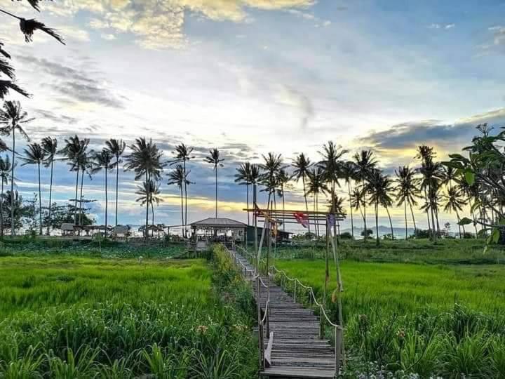 I - Talay Taling Ngam Samui - เขา ป่า นา เล ตลิ่งงาม สมุย Hotel Exterior foto
