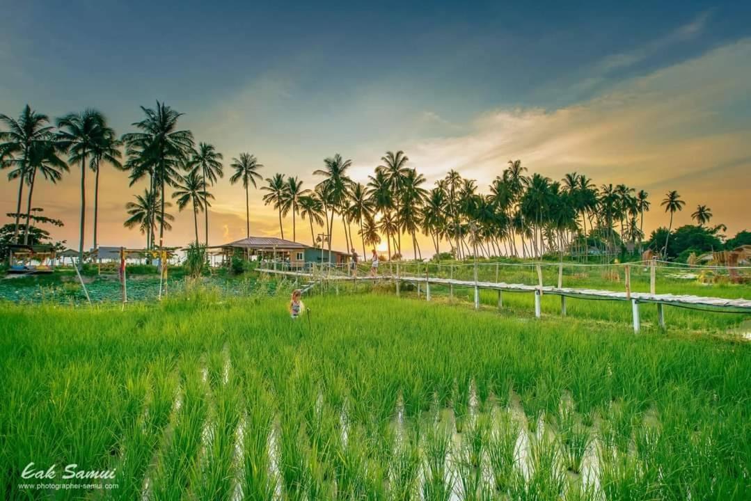 I - Talay Taling Ngam Samui - เขา ป่า นา เล ตลิ่งงาม สมุย Hotel Exterior foto